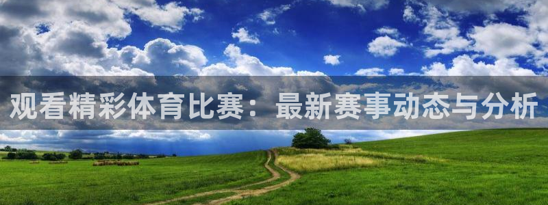 观看精彩体育比赛：最新赛事动态与分析
