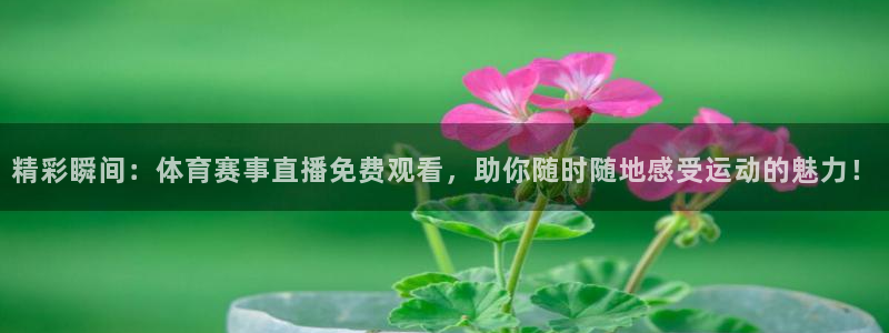 精彩瞬间：体育赛事直播免费观看，助你随时随地感受运动的魅力！