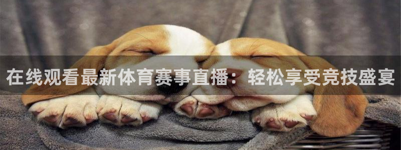 在线观看最新体育赛事直播：轻松享受竞技盛宴