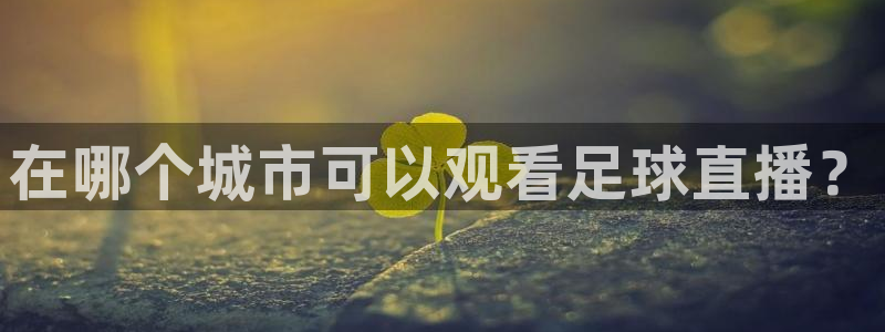 在哪个城市可以观看足球直播？