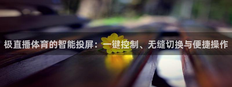 极直播体育的智能投屏：一键控制、无缝切换与便捷操作