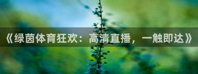 《绿茵体育狂欢：高清直播，一触即达》