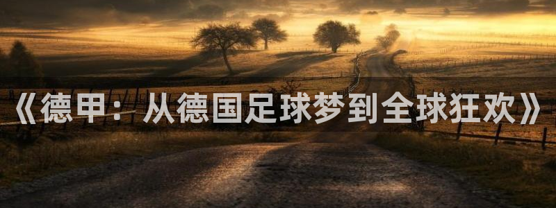 观看女足世界杯：《德甲：从德国足球梦到全球狂欢》