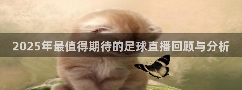 25届世界杯足球比赛：2025年最值得期待的足球直播回顾与分析
