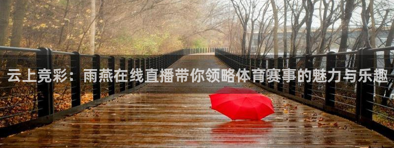 今晚足球世界杯赛程：云上竞彩：雨燕在线直播带你领略体育赛事的魅力与乐趣