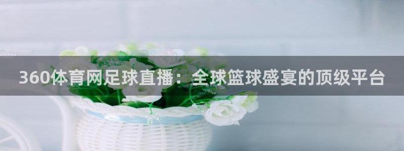 足球宝贝巴西世界杯：360体育网足球直播：全球篮球盛宴的顶级平台