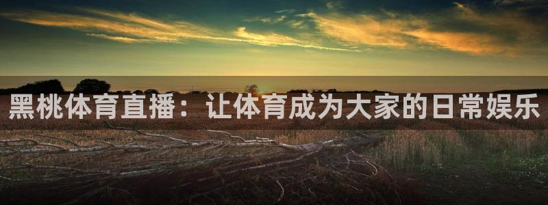 丹麦世界杯赛程：黑桃体育直播：让体育成为大家的日常娱乐