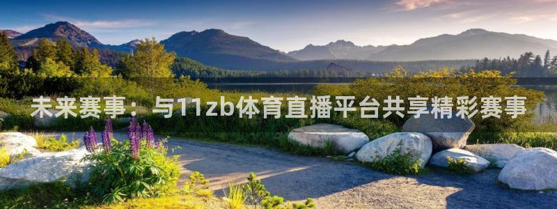 乒乓球世界杯四分之一决赛：未来赛事：与11zb体育直播平台共享精彩赛事
