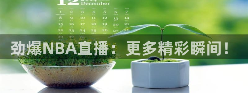 乒乓球世界杯比赛直播视频：劲爆NBA直播：更多精彩瞬间！
