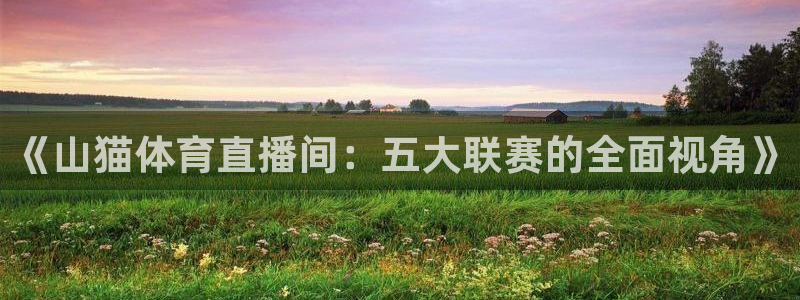 2023女子足球世界杯赛程表：《山猫体育直播间：五大联赛的全面视角》