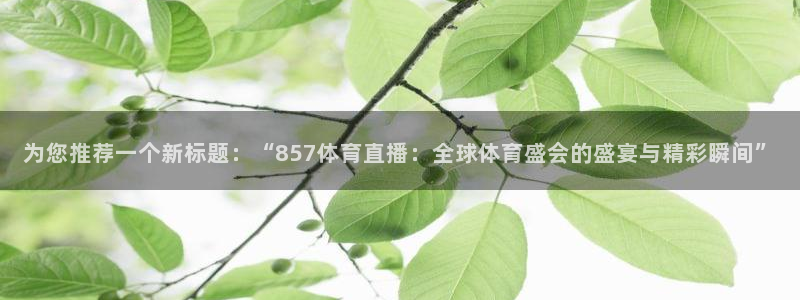 世界杯日本预选赛：为您推荐一个新标题：“857体育直播：全球体育盛会的盛宴与精彩瞬间”